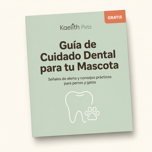 Cuidado Dental